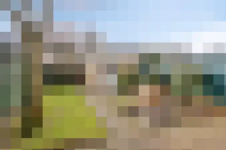 Pieter Langendijkstraat 25 Goor thumbnail 30