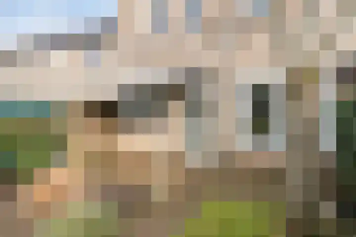 Pieter Langendijkstraat 25 Goor thumbnail 31