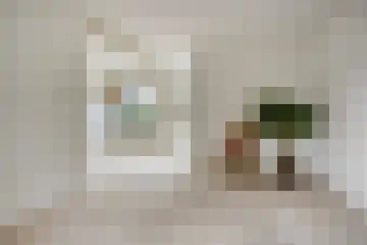 Pieter Langendijkstraat 25 Goor thumbnail 8