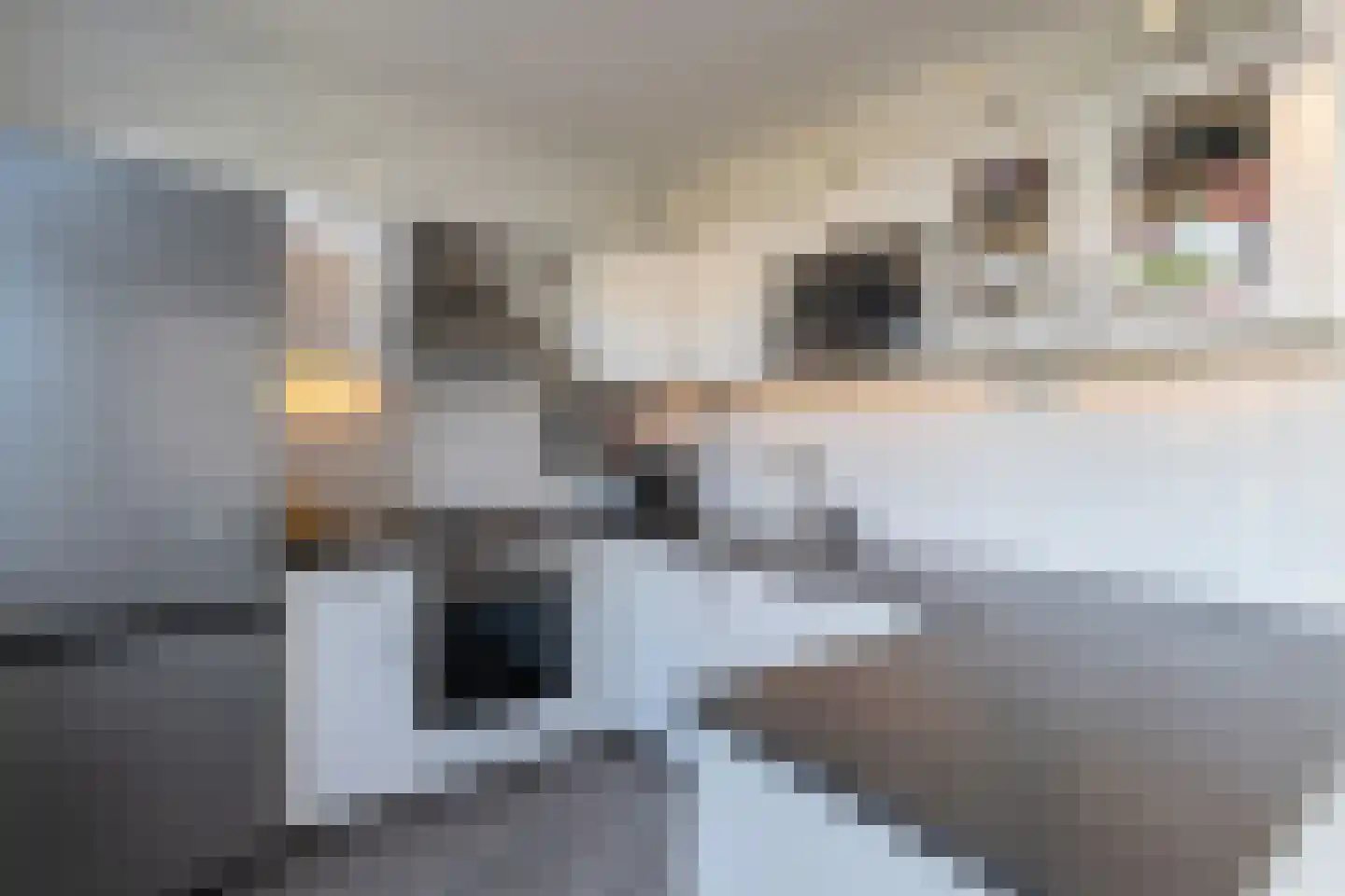 Pieter Langendijkstraat 28 Papendrecht thumbnail 9
