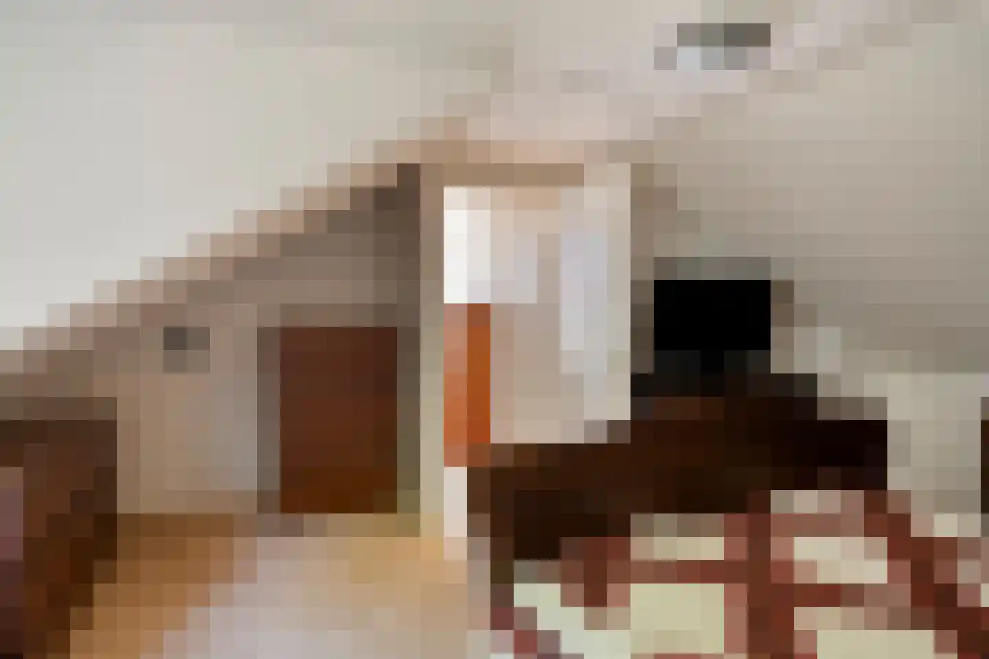 Pieter Langendijkstraat 34 Goor thumbnail 35
