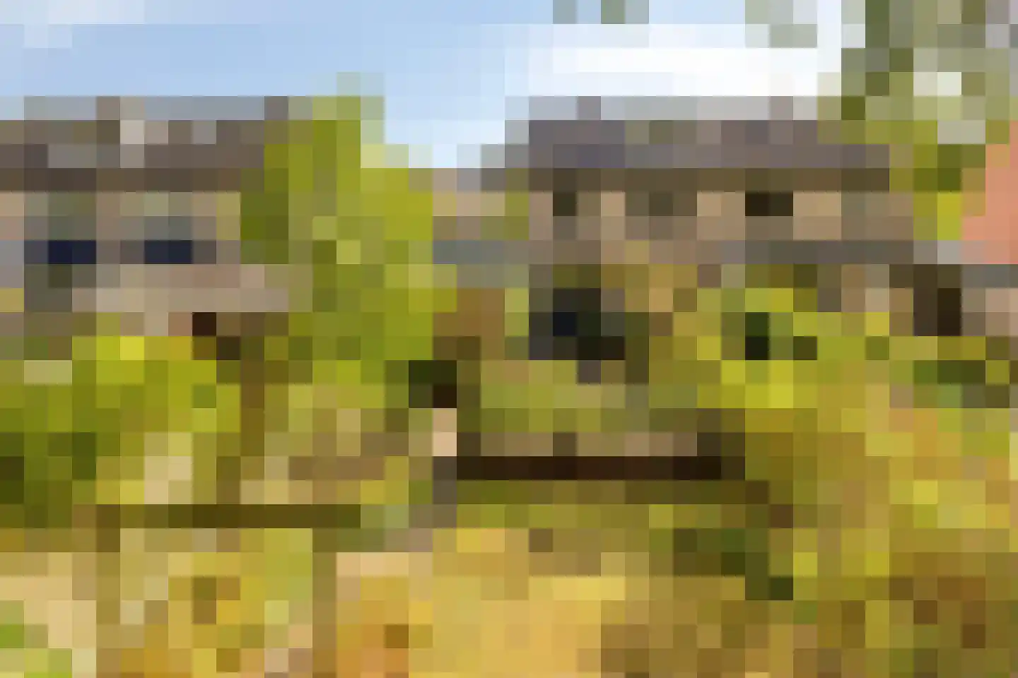 Pieter Langendijkstraat 34 Goor thumbnail 5