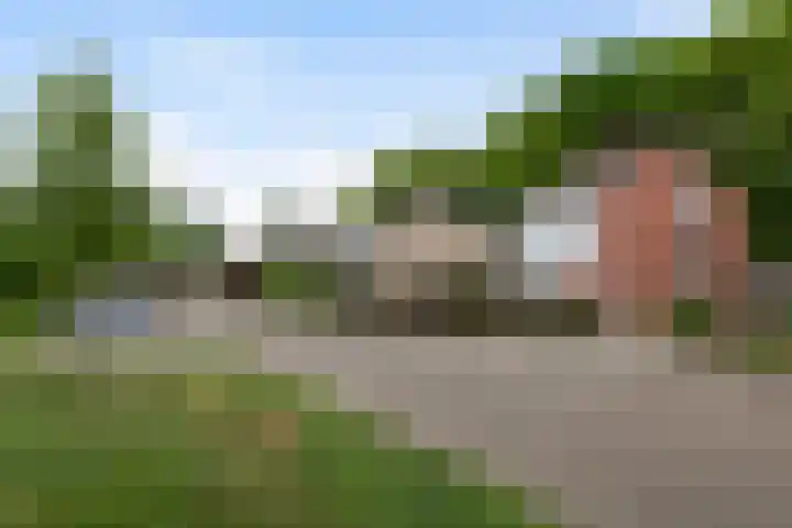Pieter Langendijkstraat 38 Goor thumbnail 26