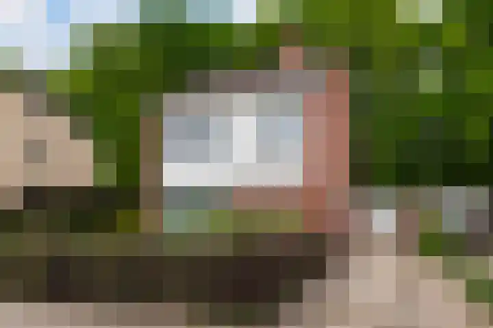 Pieter Langendijkstraat 38 Goor thumbnail 31