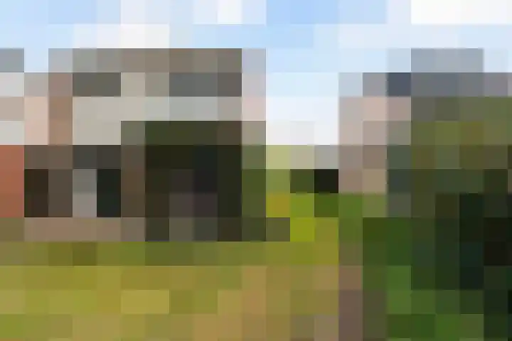 Pieter Langendijkstraat 38 Goor thumbnail 4