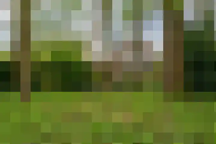 Pieter Langendijkstraat 38 Goor thumbnail 5