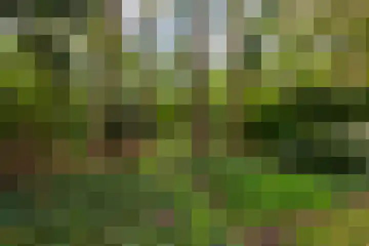 Pieter Langendijkstraat 38 Goor thumbnail 6