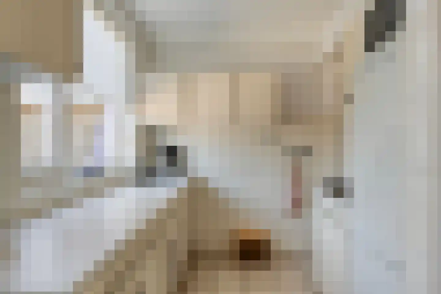 Pieter Langendijkstraat 55 Goor thumbnail 7