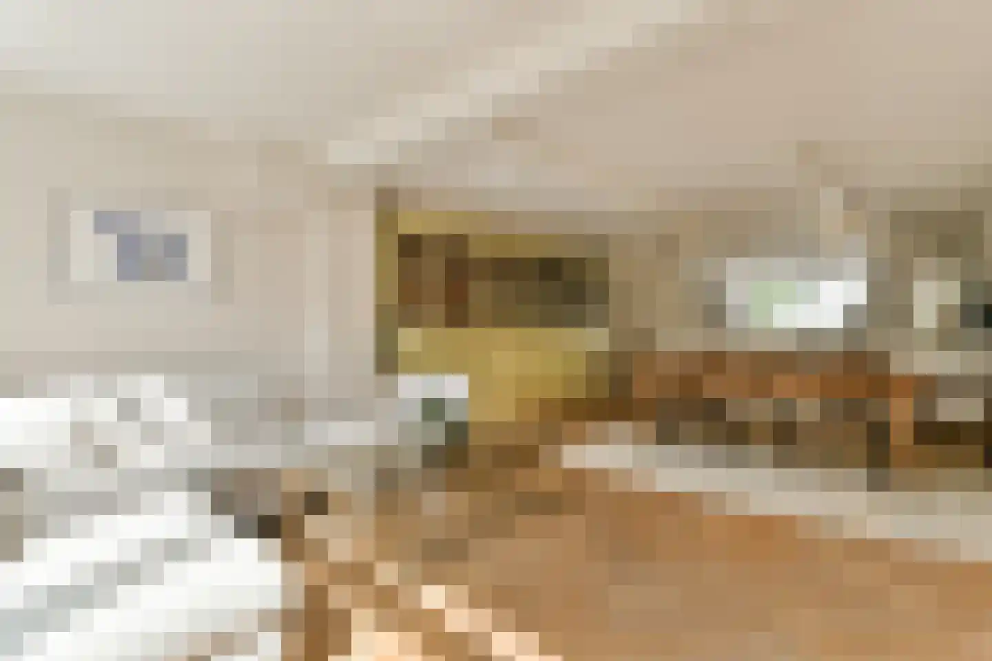 Pieter Langendijkstraat 6 H Amsterdam thumbnail 9