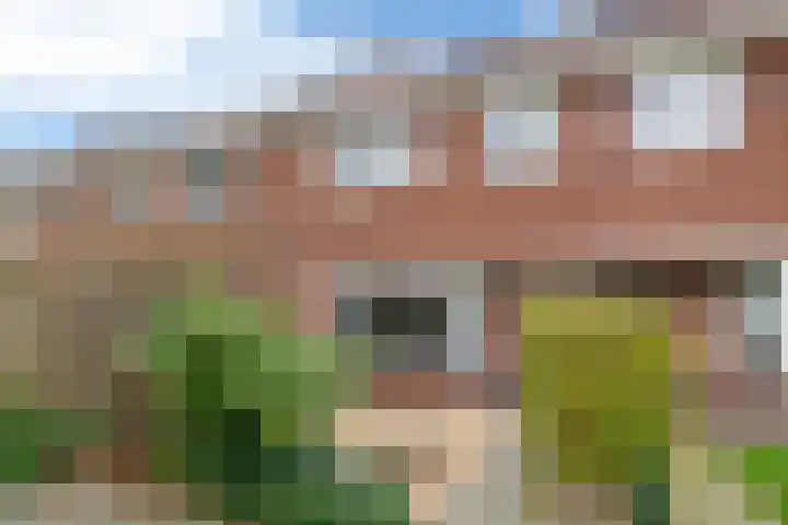 Pieter Langendijkstraat 6 Leeuwarden thumbnail 50
