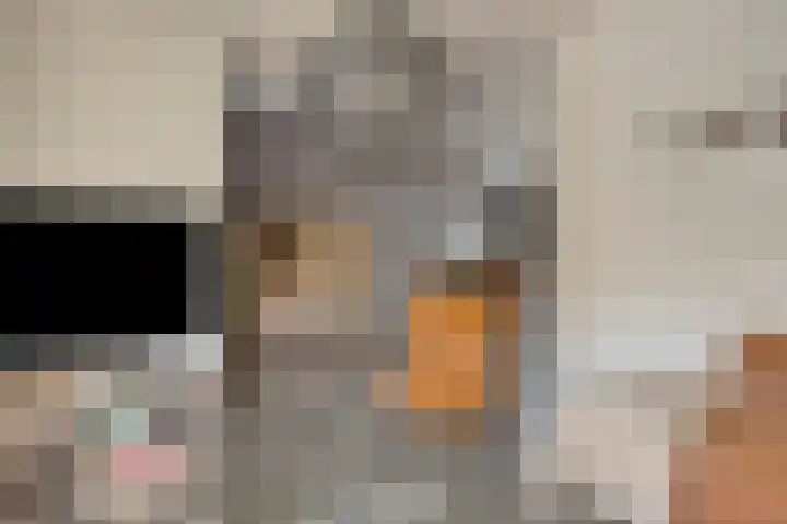 Pieter Langendijkstraat 66 Goor thumbnail 10