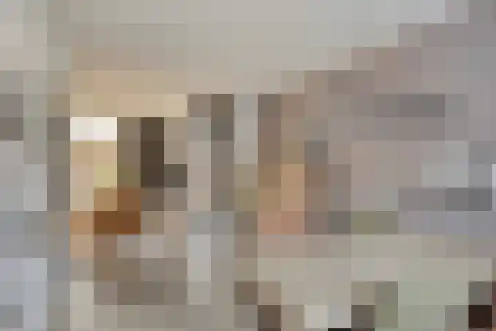 Pieter Langendijkstraat 66 Goor thumbnail 14