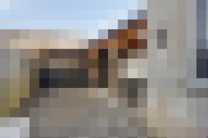 Pieter Langendijkstraat 66 Goor thumbnail 35