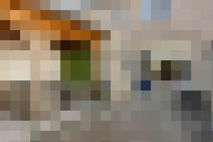 Pieter Langendijkstraat 66 Goor thumbnail 41