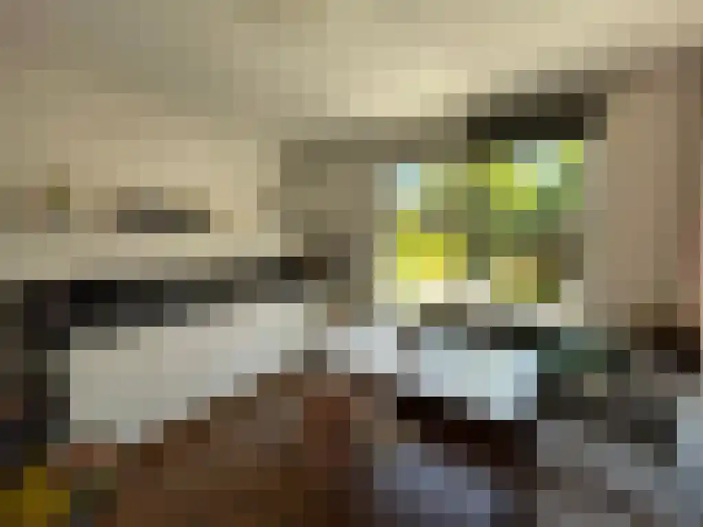 Pieter Langendijkstraat Leeuwarden thumbnail 5