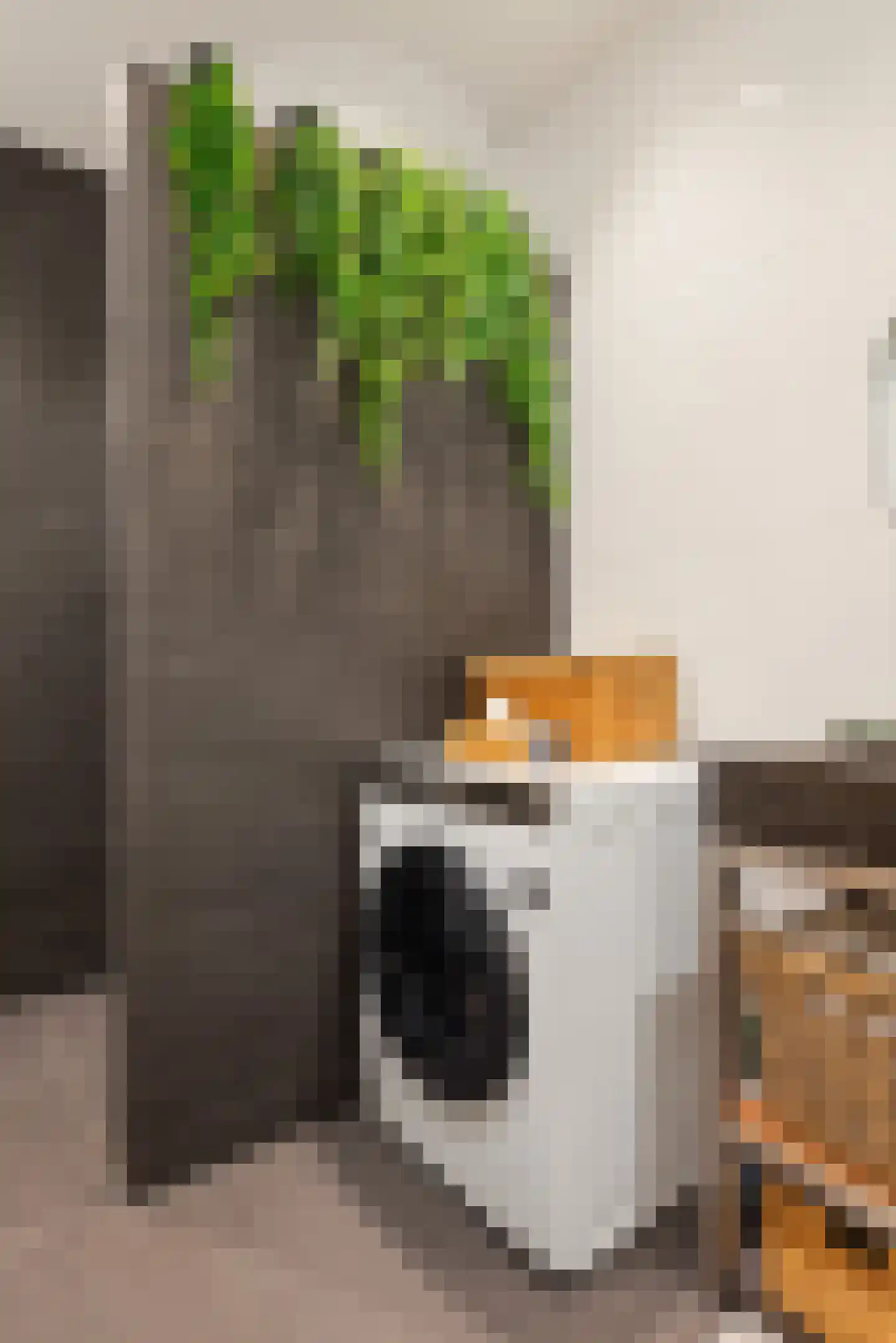 Pieter Lastmankade 2 2 Amsterdam thumbnail 29