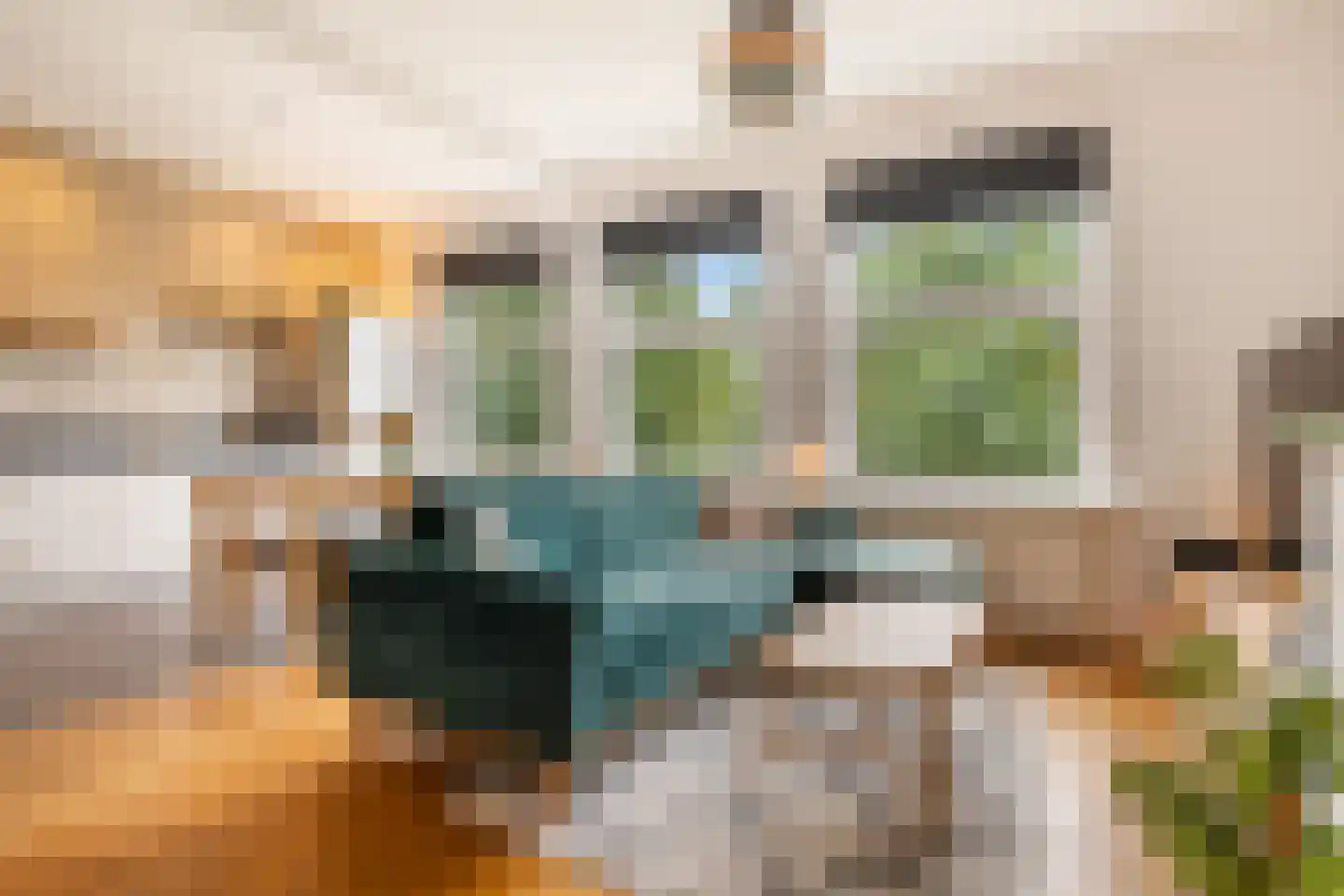 Pieter Lastmankade 2 2 Amsterdam thumbnail 9