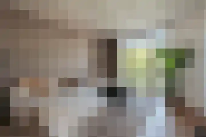 Pieter Lastmankade 29 2 Amsterdam thumbnail 15