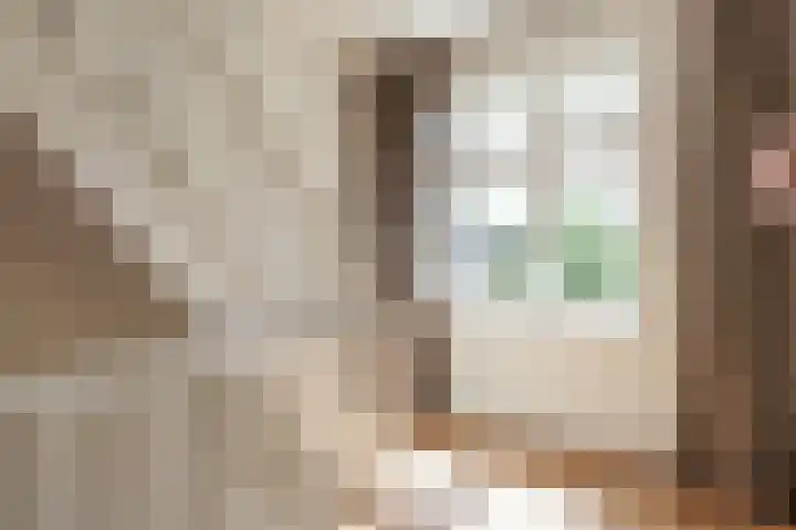 Pieter Lastmankade 29 2 Amsterdam thumbnail 17
