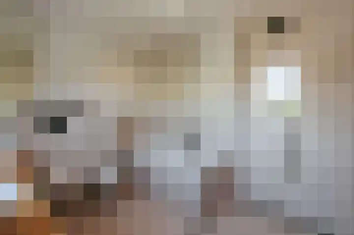 Pieter Lastmankade 29 2 Amsterdam thumbnail 23