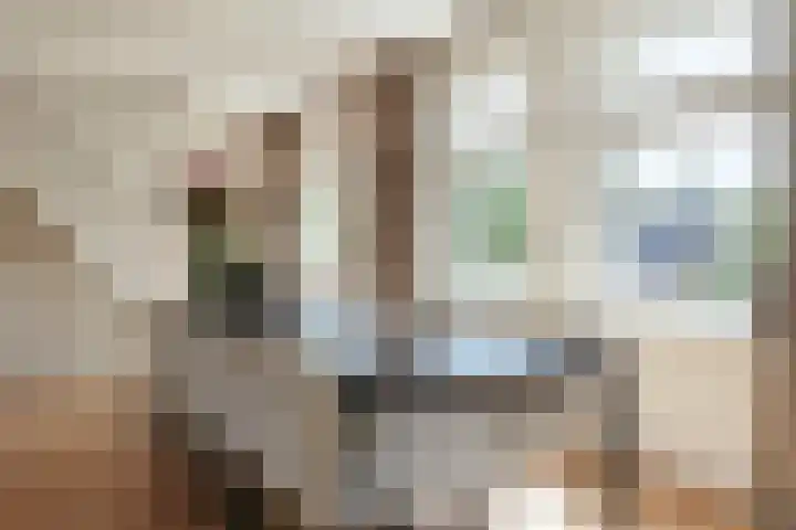Pieter Lastmankade 29 2 Amsterdam thumbnail 7
