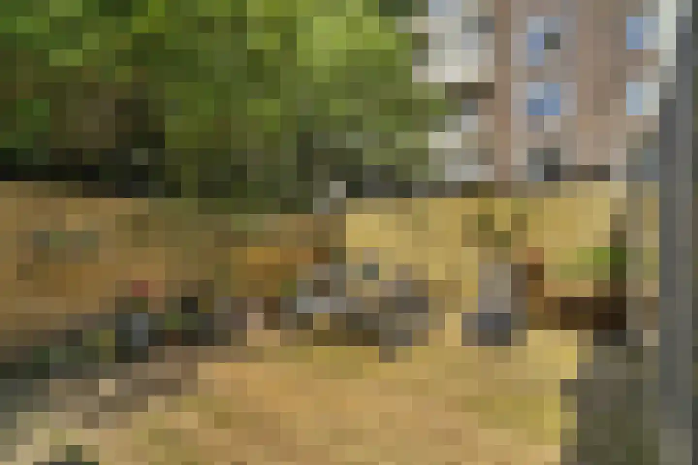 Pieter Lastmankade 5 2 Amsterdam thumbnail 22