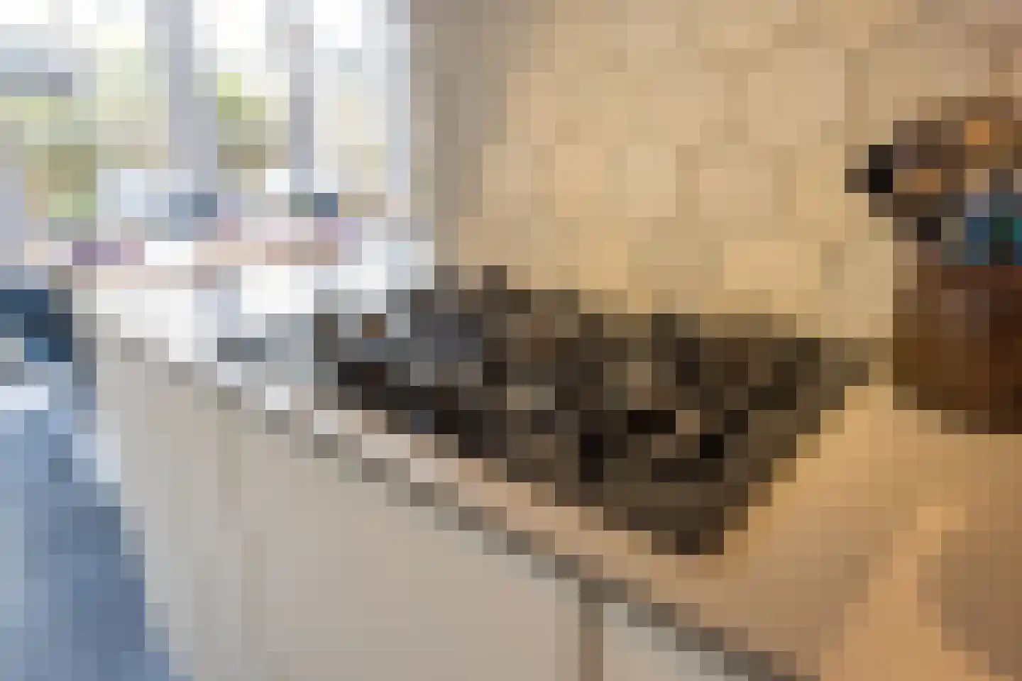 Pieter Lastmankade 5 2 Amsterdam thumbnail 27