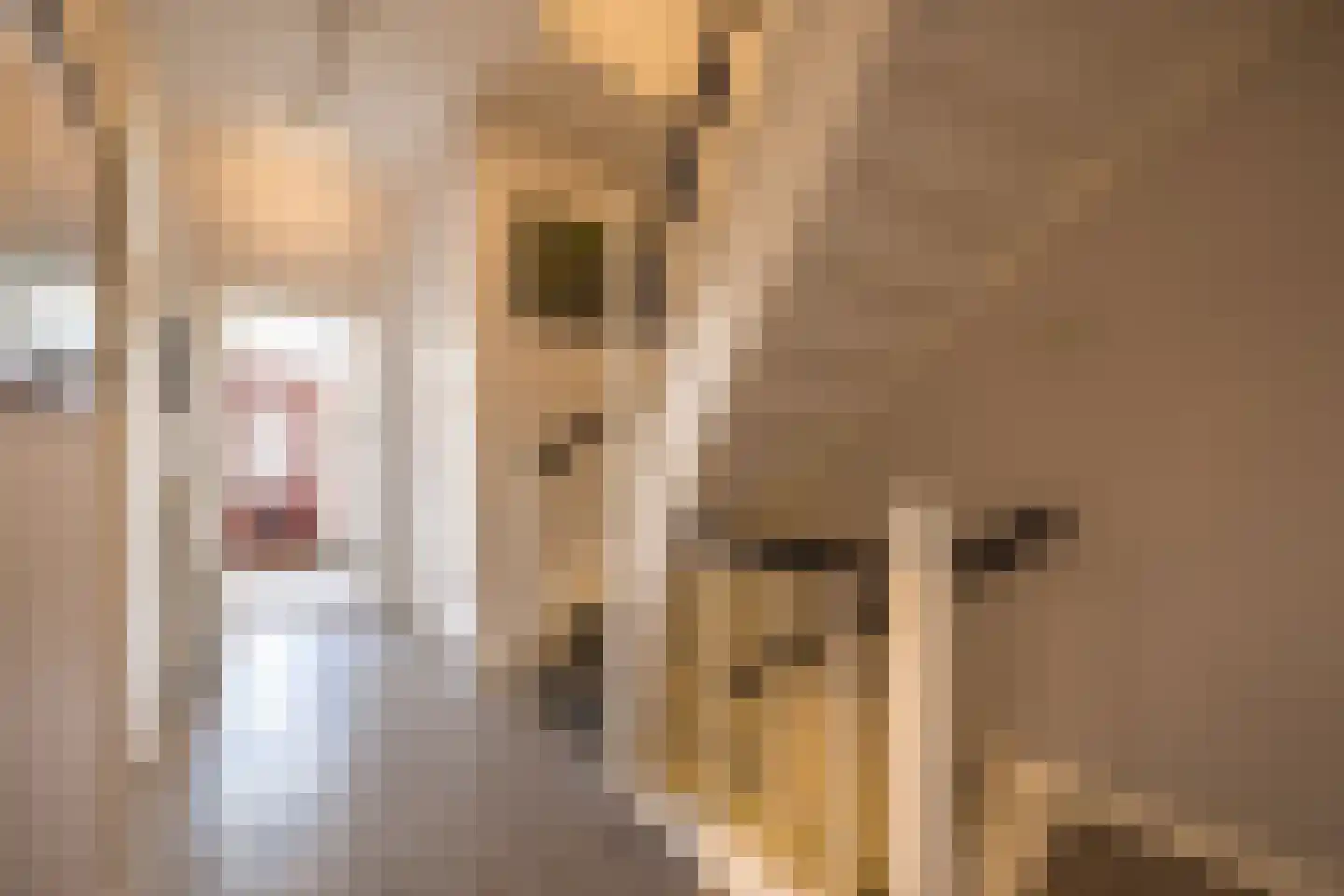 Pieter Lastmankade 5 2 Amsterdam thumbnail 51