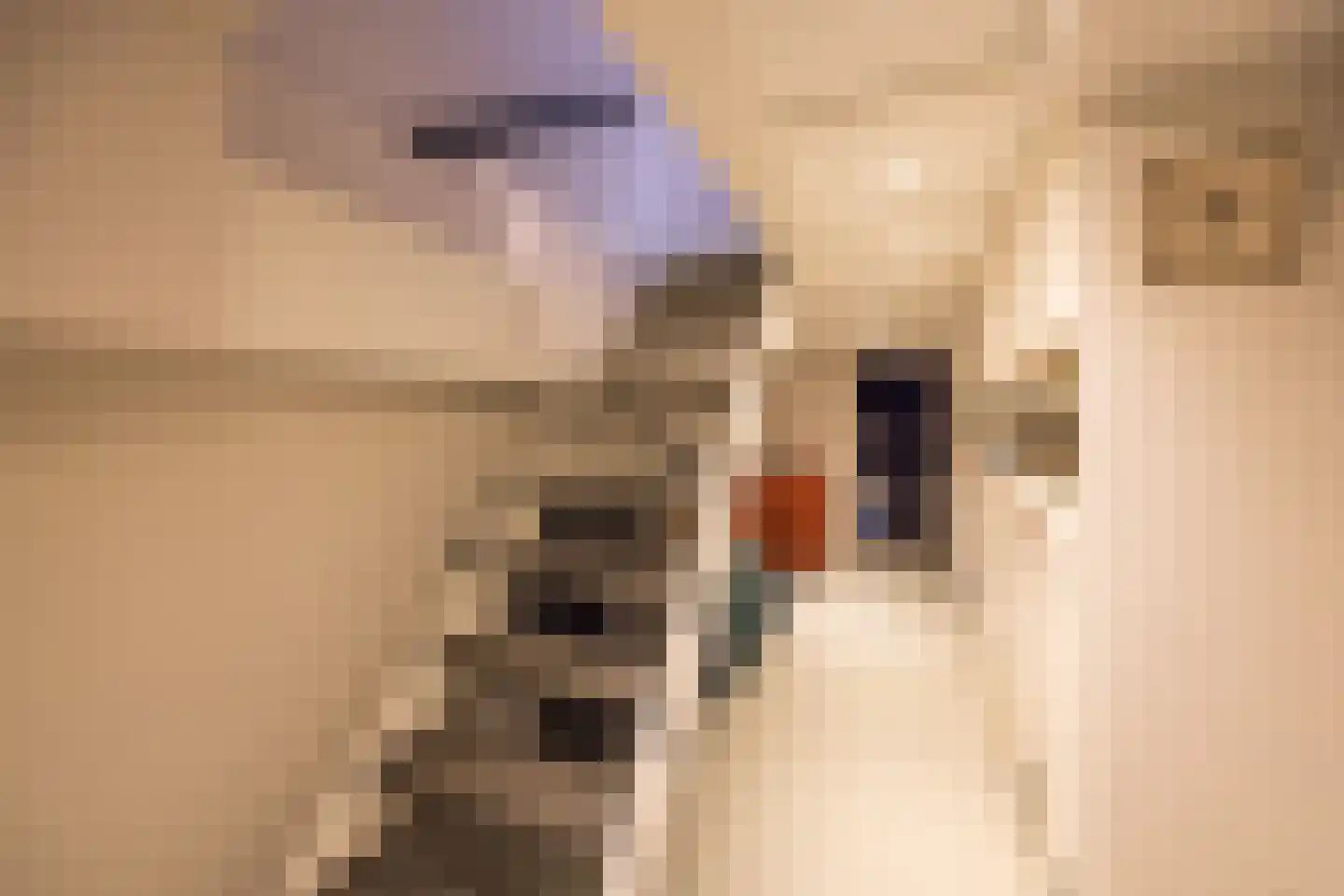 Pieter Lastmankade 5 2 Amsterdam thumbnail 54