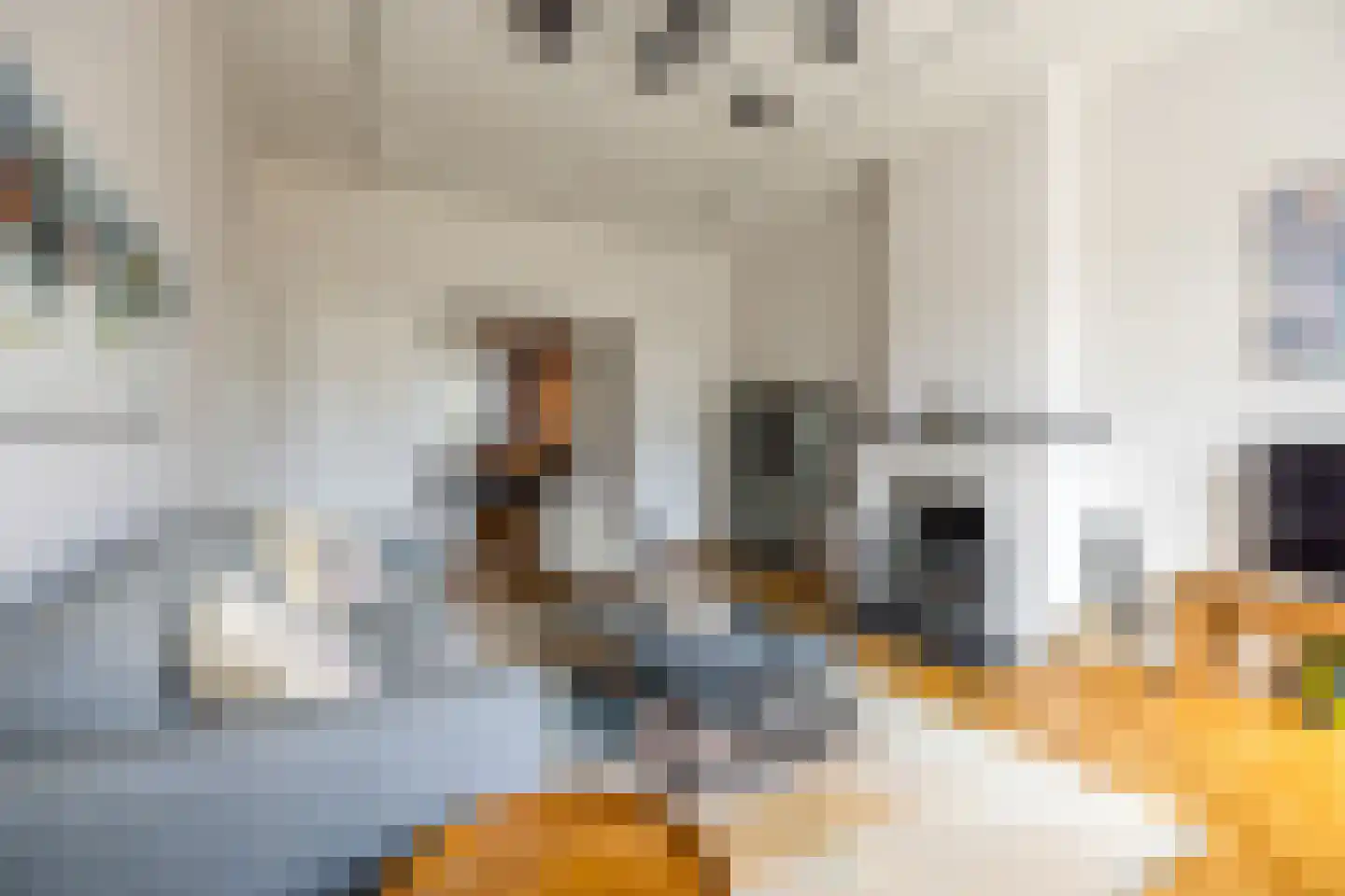 Pieter Lastmankade 5 2 Amsterdam thumbnail 8