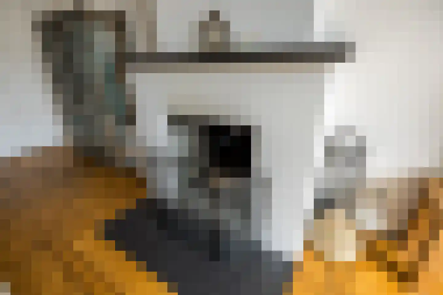 Pieter Lastmankade 5 2 Amsterdam thumbnail 9