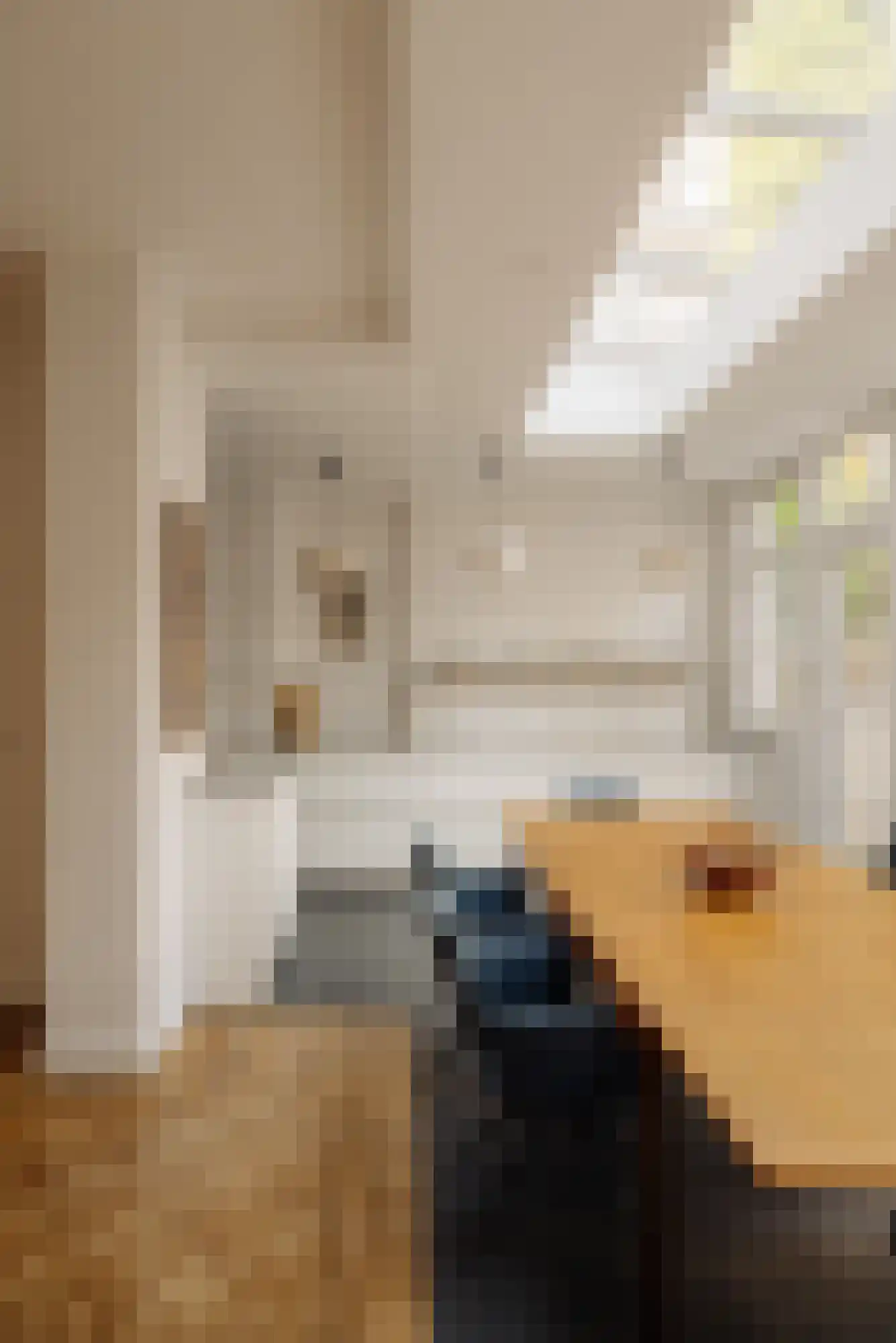 Pieter Lastmankade 5 H Amsterdam thumbnail 15