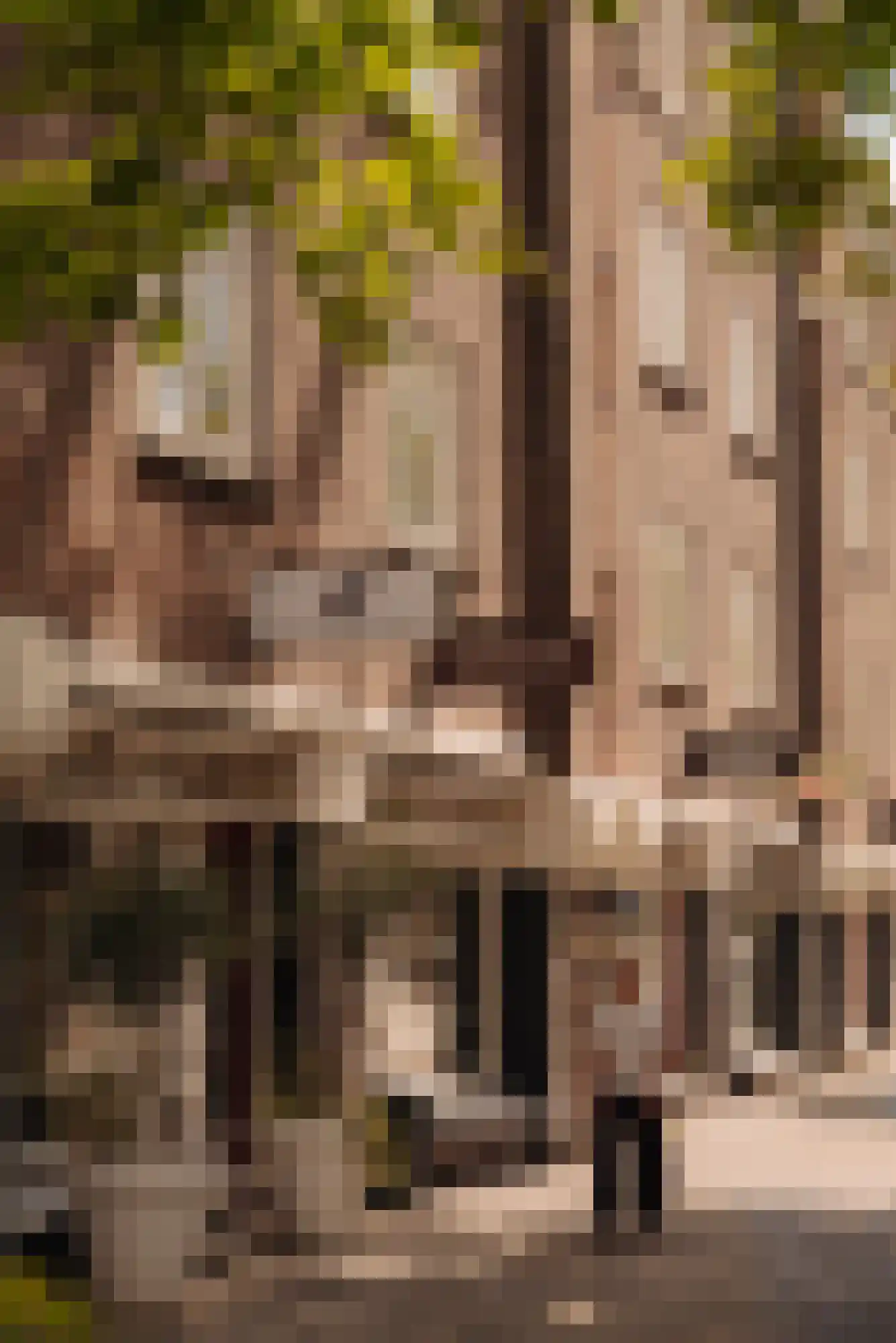 Pieter Lastmankade 5 H Amsterdam thumbnail 38