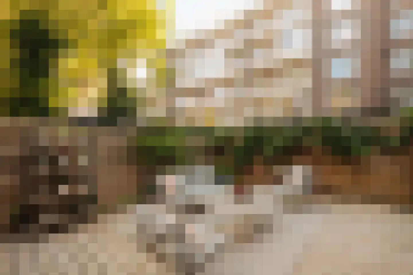 Pieter Lastmankade 5 H Amsterdam thumbnail 4