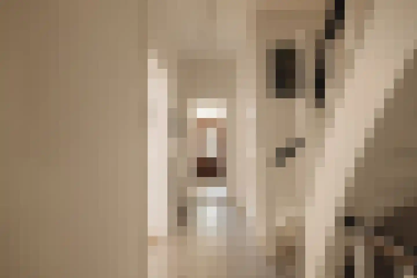 Pieter Lastmankade 5 H Amsterdam thumbnail 6