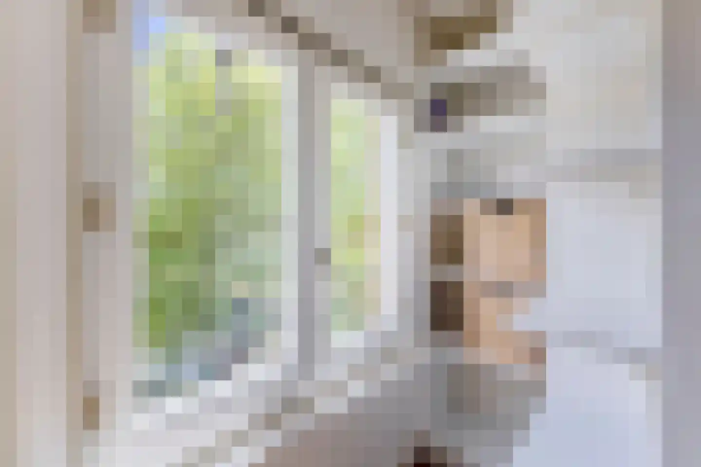 Pieter Lastmankade 68 1 Amsterdam thumbnail 13