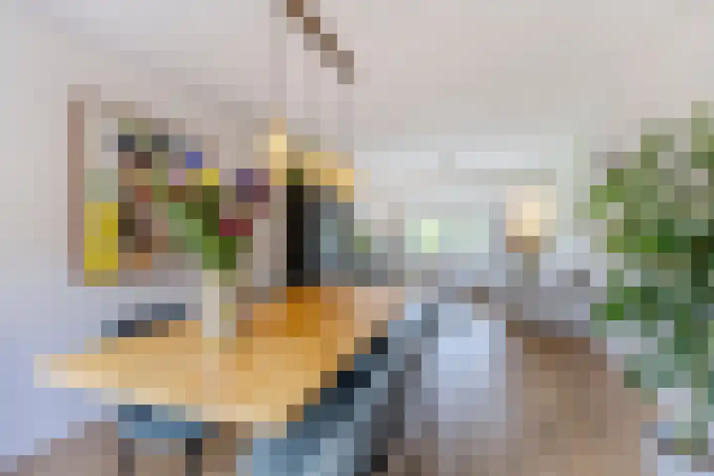Pieter Lastmankade 68 1 Amsterdam thumbnail 4