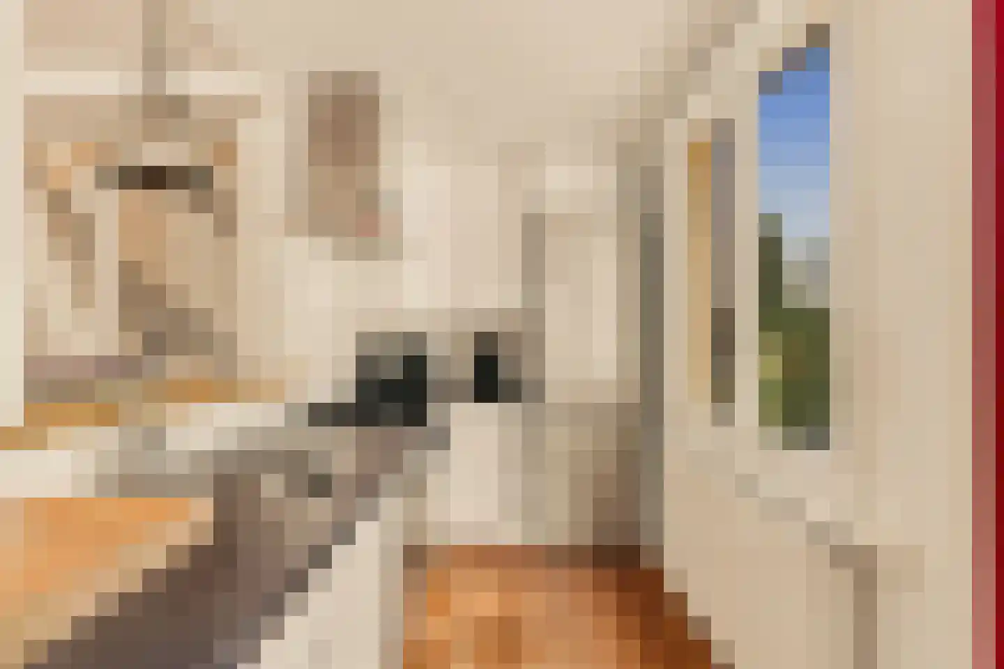 Pieter Lastmankade 70 Amsterdam thumbnail 10