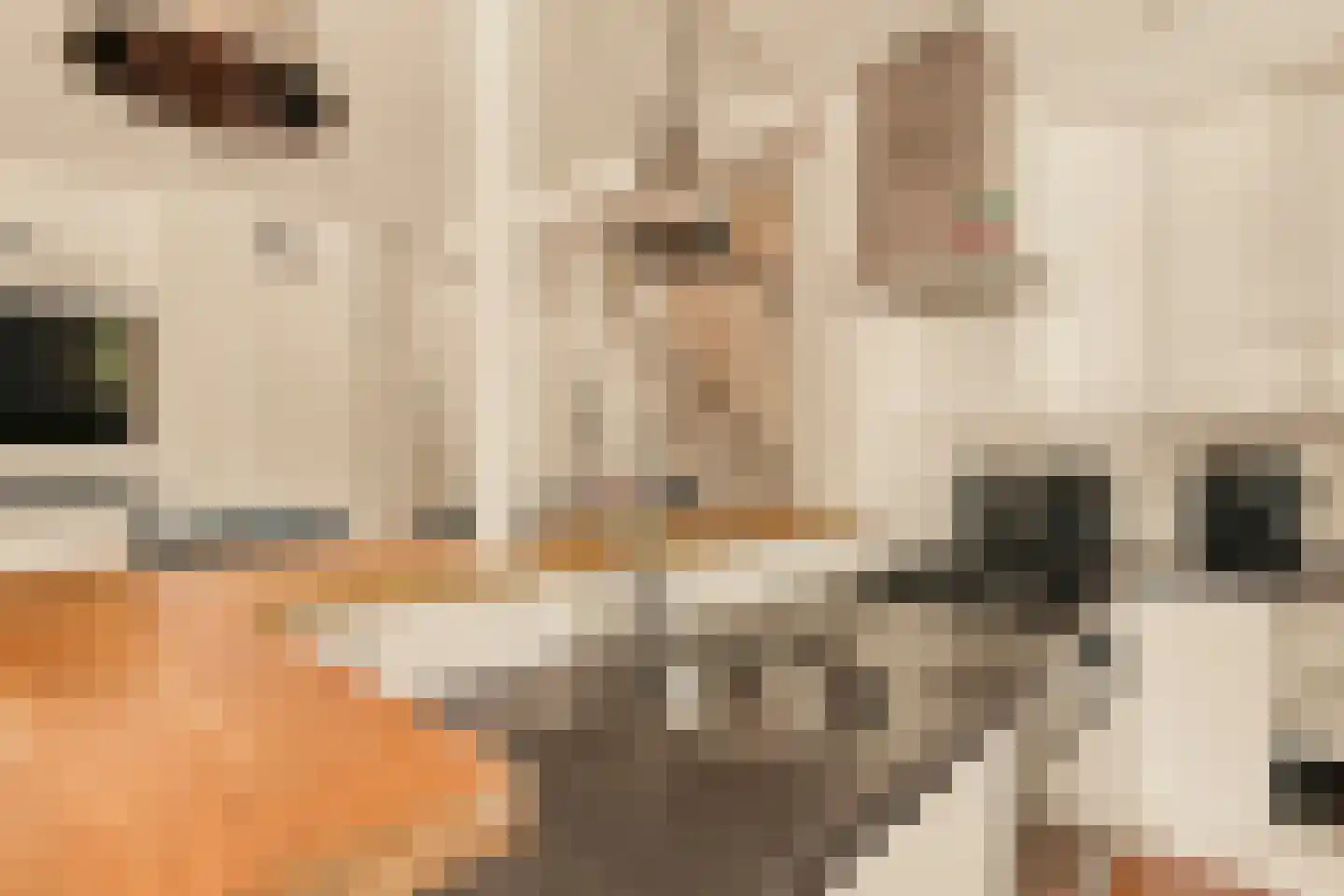 Pieter Lastmankade 70 Amsterdam thumbnail 11