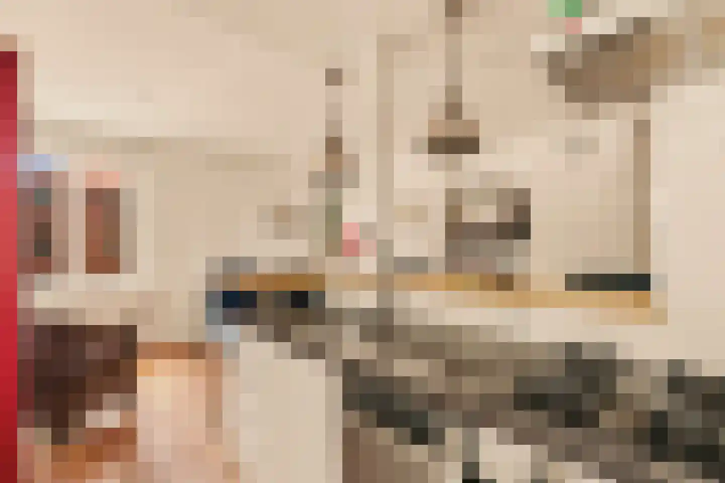 Pieter Lastmankade 70 Amsterdam thumbnail 12