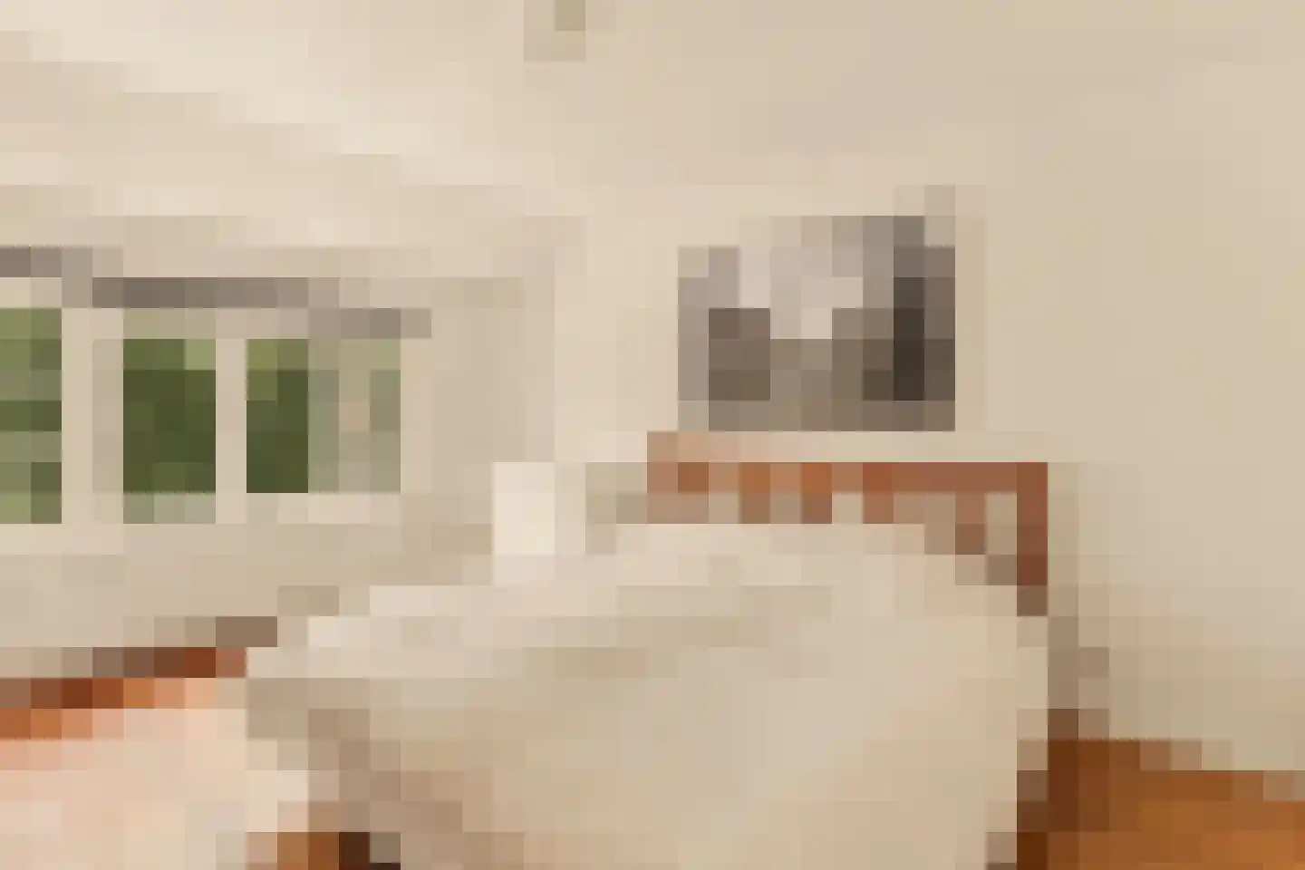 Pieter Lastmankade 70 Amsterdam thumbnail 18