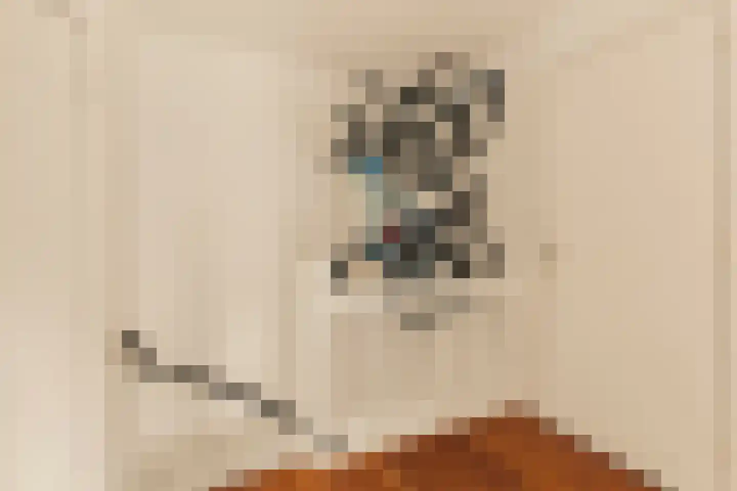 Pieter Lastmankade 70 Amsterdam thumbnail 31