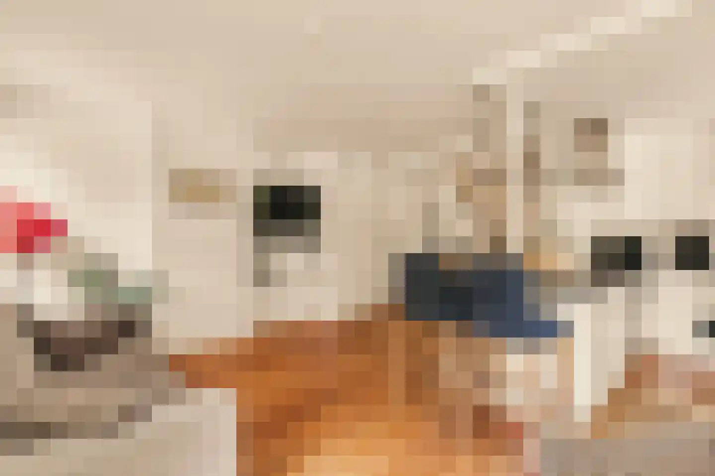 Pieter Lastmankade 70 Amsterdam thumbnail 9