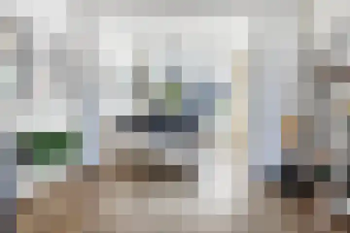 Pieter Lastmanstraat 34 Meppel thumbnail 11