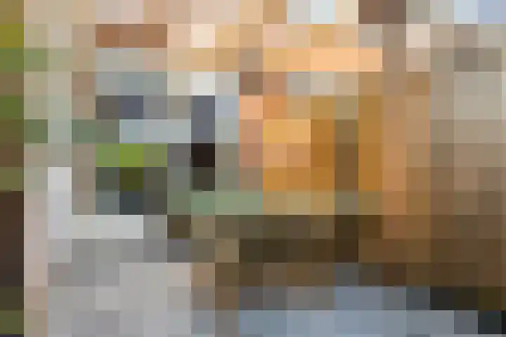 Pieter Lastmanstraat 7 Leeuwarden thumbnail 35