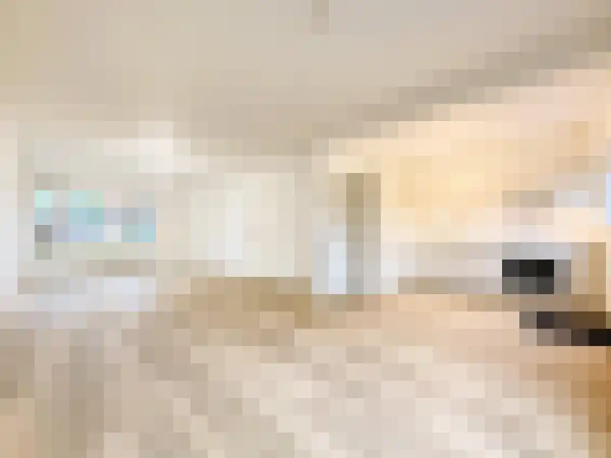 Pieter Lastmanweg 24 Amstelveen thumbnail 4
