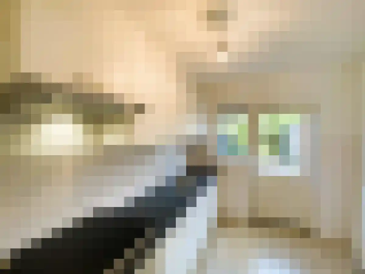 Pieter Lastmanweg 30 Amstelveen thumbnail 6