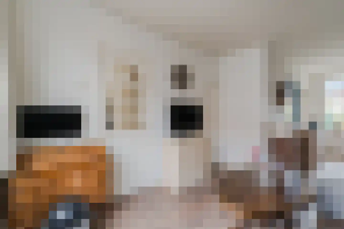 Pieter Latensteinstraat 19 Zaandam thumbnail 11