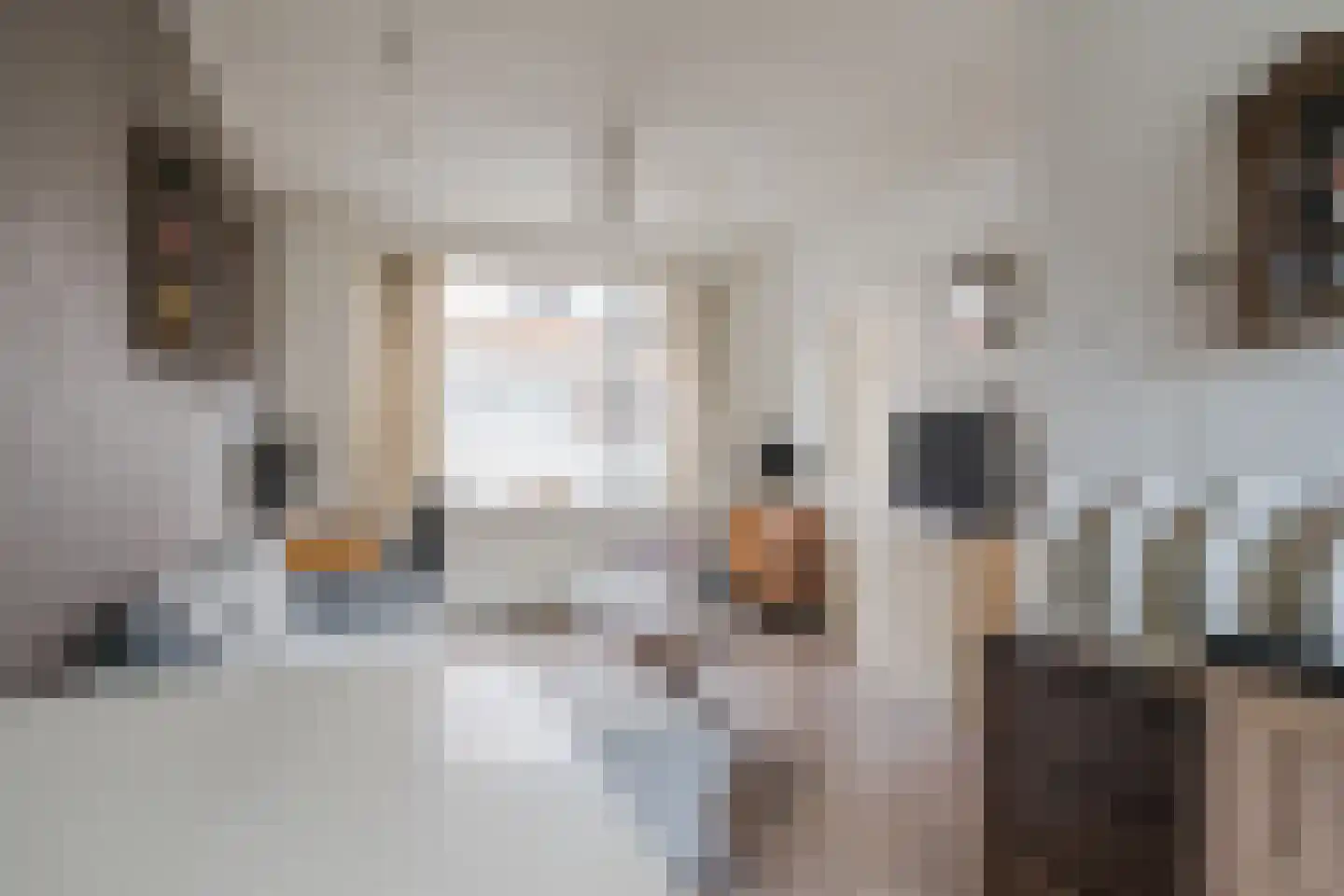 Pieter Latensteinstraat 19 Zaandam thumbnail 12