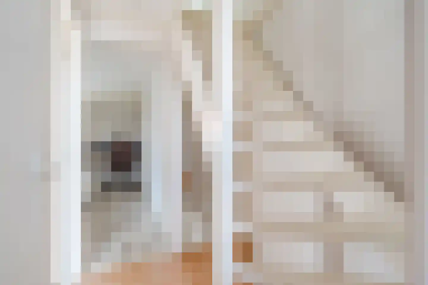 Pieter Latensteinstraat 19 Zaandam thumbnail 22
